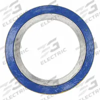 Spiral Wound Flange Gasket: Graphite Filler, 304 Stainless Steel Winding, For 2 in Pipe, 2 3/4 in ID (MPN C000502001). Key specifications — Brand: GARLOCK.