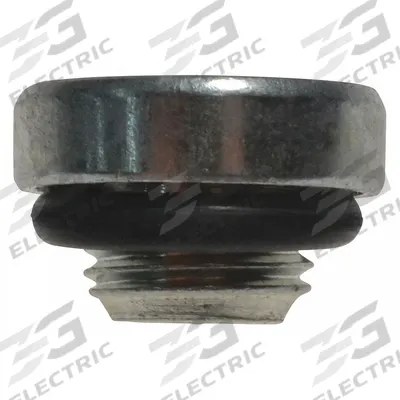 DAYTON Plug Kit: For 2MPP5/2MPP6/2MPP7/2MPP8 - GGS Material Handling Parts