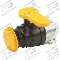 BANJO Manual Two-Way Ball Valve: 2 in, Polypropylene, Straight, Female Buttress x Male Camlock (MPN WSF210FSAV). Key specifications — Brand: BANJO; Handle: Lever.