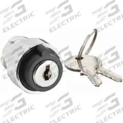 DAYTON Keyed Selector Switch: 2 Position, 22 mm Panel Mounting Size, Series DAYTON (MPN 30G285). Key specifications — Manufacturer Part Number: 30G285; Brand: DAYTON; Switch Action: Maintained/Maintained; Key Removal Position: Any Position.