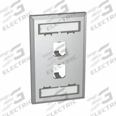 PANDUIT Wall Plate: Metallic, 1 Gang, 2 Port, Flat Module, Stainless Steel, Vertical (MPN CFPL2SY). Key specifications — Brand: PANDUIT; Material: Stainless Steel; Color: Metallic; Compatible Connector Type: Mini-Com Modules; Outlet Orientation: Vertical; Module Style: Flat.