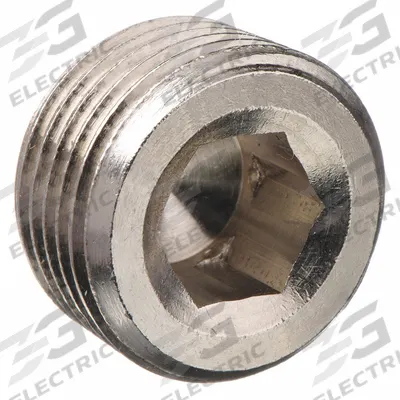 AIGNEP USA Plug: Solid Plug, 3/8 in, BSPT Threaded, 1,000 psi, 1/2 in Lg - Chrome-Plated Threaded High-Pressure Pipe Fittings