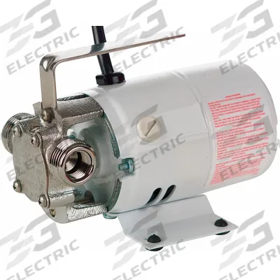 LITTLE GIANT Utility Pump: 12V DC, 25 ft Max head, 1 ft Cord Lg, Vehicle Battery - Battery-Powered Flexible Impeller Utility Pumps