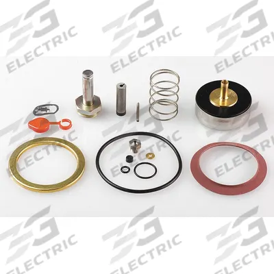 ASCO Valve Rebuild Kit (MPN 310420) - Repair Kits for Solenoid Valves