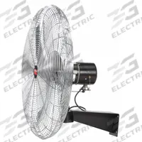 DAYTON Mounted Fan: 20 in Blade Dia, 115V AC, 1/5 hp Motor HP, Wall Mount, Non-Oscillating, Bracket (MPN 20933). Key specifications — Brand: DAYTON; Voltage: 115V AC; Number of Speeds: 3; Fan Mounting Location: Wall; Oscillation: Non-Oscillating; Mounting Type: Bracket.