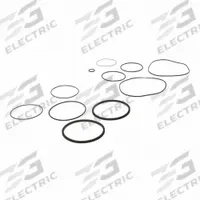 FILL-RITE Teflon Seal Kit: Teflon Seal Kit, Fill-Rite, (11) O-Rings/Gasket/Valve Stem (MPN SK20PTF-V13)