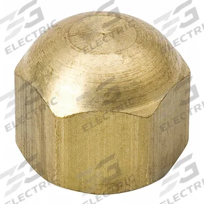 MUELLER Access Valve Cap: 1/4 in Female SAE Right-Hand, 9/16 in Overall Ht - Caps for Access Valves