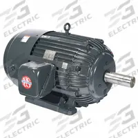 U.S. MOTORS General Purpose Motor: Rigid Base Mount, Totally Enclosed Fan Cooled, 250 hp, 460V AC (MPN C250P3C). Key specifications — Brand: U.S. MOTORS; Nameplate Voltage @ 60 Hz: 460V AC; Full Load Current @ 60 Hz: 280.0 A; Nameplate RPM @ 60 Hz: 1,190 RPM; Motor Enclosure: TEFC.
