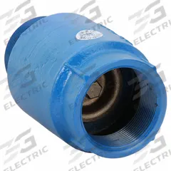DAYTON Spring Check Valve: Inline Valve Body, 2 in Pipe Size, MNPT x FNPT, Ductile Iron, Male, NPT (MPN 4RK71). Key specifications — Brand: DAYTON; Poppet Material: Stainless Steel.