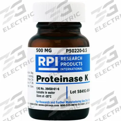 RPI Proteinase K: 500 mg Volume, BSE/TSE Free, Powder - Protease Inhibitors