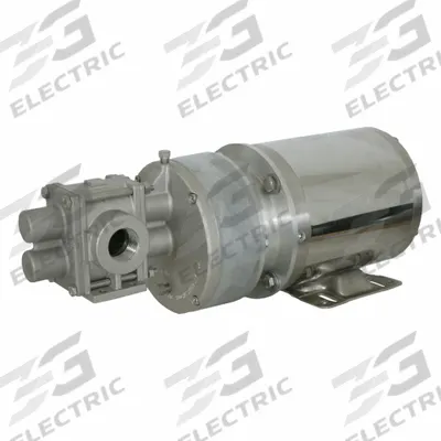 PULSAFEEDER Rotary Gear Pump Head: Magnetic Drive, 316 Stainless Steel, 1" FNPT, Metal Alloy - Mag-Drive Gear Pump Heads