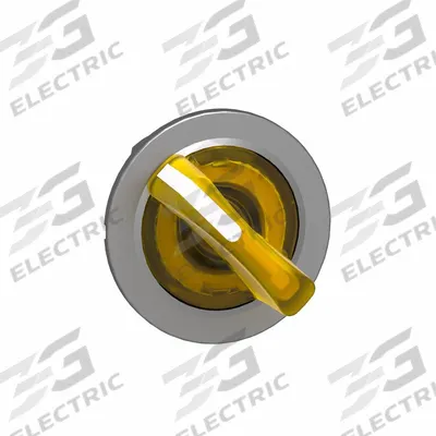 SCHNEIDER Short-Handled Selector Switch: 30 mm Panel Mount Size, 2 Positions - Illuminated Selector-Switch Operators