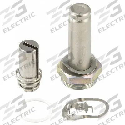 ASCO Valve Rebuild Kit (MPN 304352-T) - Repair Kits for Solenoid Valves