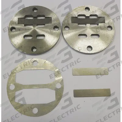 SPEEDAIRE In and Ex Valve Assembly: PN22N059G - Air Compressor Parts