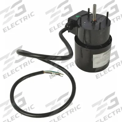 DAYTON AC,1-Phase,1/25 HP,Motor: 1/25 hp, Single Phase - Motors for Machine Tool Coolant Pumps