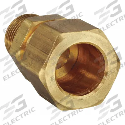 PARKER Compression Fitting Adapter: 1/4 in OD x 1/2 in Pipe Fitting Size, Compression x MNPT - Standard Sleeve Brass Compression Fittings