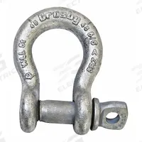 CROSBY Anchor Shackle: Anchor Shackle, 10,000 lb Working Load Limit, 1 1/16 in Wd Between Eyes (MPN 1017516). Key specifications — Body Color: Silver; Brand: CROSBY.