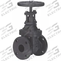 MILWAUKEE VALVE Gate Valve: 2 1/2 in Nominal Valve Size, Cast Iron, Non-Rising, Class 125 Flange (MPN 2882-M 2-1/2"). Key specifications — Wedge Material: Cast Iron; Brand: MILWAUKEE VALVE; Bonnet Material: Cast Iron.