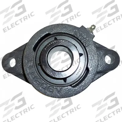 NTN 2 Bolt Flange Bearing: Radial Ball, 1 1/4 in Bore, Cast Iron, Set Screws - General Purpose Flange-Mount Ball Bearings