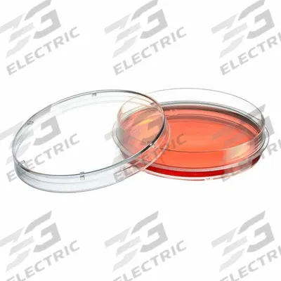 GLOBE SCIENTIFIC Tissue Culture Well Plate: Sterile, 20 mL, 100 mm Dia, RNase/DNase Free - Cell Culture Plates
