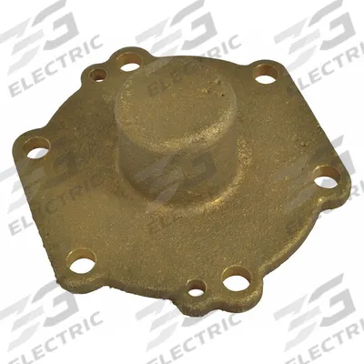 Dayton Cover: Mfr Part # PP820001G - Cover Plates for Dewatering & Wastewater Pumps