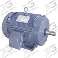 DAYTON General Purpose Motor: Rigid Base Mount, Totally Enclosed Fan Cooled, 5 hp, 208-230/460V AC (MPN 194148.00). Key specifications — Brand: DAYTON; Nameplate Voltage @ 60 Hz: 208-230/460V AC; Full Load Current @ 60 Hz: 13.8/6.9 A; Nameplate RPM @ 60 Hz: 1,175 RPM; Motor Enclosure: TEFC.