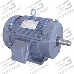 DAYTON General Purpose Motor: Rigid Base Mount, Totally Enclosed Fan Cooled, 5 hp, 208-230/460V AC (MPN 194148.00). Key specifications — Brand: DAYTON; Nameplate Voltage @ 60 Hz: 208-230/460V AC; Full Load Current @ 60 Hz: 13.8/6.9 A; Nameplate RPM @ 60 Hz: 1,175 RPM; Motor Enclosure: TEFC.