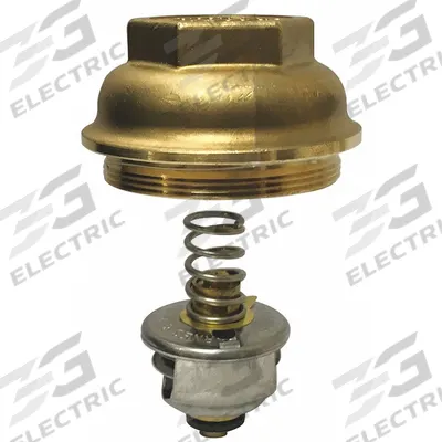 BARNES & JONES Steam Trap Cage Unit: For Milvaco - Thermostatic Cage Units