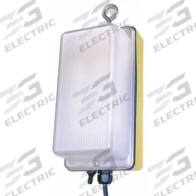 W F HARRIS LIGHTING Temporary Job Site Light: LED, Corded, Magnetic Light - Hanging Lights