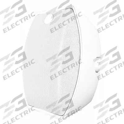 SOUNDTUBE Speaker: Passive, 2-Way, 8 ohm Impedance, 8 1/4 in Overall Wd - Wall-Mount Speakers