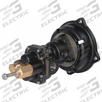 Dayton Rotary Gear Pump Head: Direct Drive, Cast Iron, 1/4" FNPT, Steel, SS - C-Face Mount Gear Pump Heads