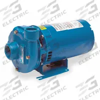 Centrifugal Pump: 1/3 hp, 115/230V AC, 52 ft Max Head, 1 1/4 in , 1 in Intake and Disch (MPN 1BF40312). Key specifications — Brand: GOULDS WATER TECHNOLOGY; Motor Enclosure Type: ODP.