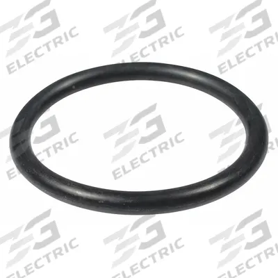 DAYTON O-Ring: Mfr Part # TT2041101030100G - Air Tool Replacement Parts