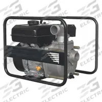 APPROVED VENDOR Engine Driven Pump: 6 hp, 2 in NPT, 2 in NPT, 3/4 in Max. Dia. Solids, Centrifugal (MPN 24D038). Key specifications — Volute Material: Ductile Iron; Ignition Type: Recoil-Start; Brand: APPROVED VENDOR.