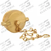 MOON AMERICAN Hydrant Plug: Plug, Brass, 1 1/2 in Compatible Pipe Size, Male, NH, Pin Lug (MPN 661-1521). Key specifications — Thread Type: NH; Tightening Method: Pin Lug.
