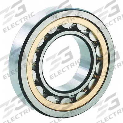 FAG BEARINGS Cylindrical Roller Bearing: 306, 30 mm Bore, 72 mm OD, 19 mm Overall Wd - High-Clearance Cylindrical Roller Bearings