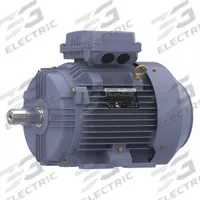 MARATHON MOTORS Metric Motor: 10 hp, Rigid Base Mount, 132M Frame Size, Totally Enclosed Fan Cooled (MPN TCA7P52AP211GAA009). Key specifications — Brand: MARATHON MOTORS; Nameplate Voltage @ 60 Hz: 575V AC; Full Load Amps @ 60 Hz: 10.2 A; Nameplate RPM @ 60 Hz: 1740 RPM; Motor Enclosure: TEFC.