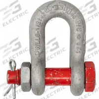 CROSBY D-Shackle: Chain Shackle, 6,500 lb Working Load Limit, 1 1/16 in Wd Between Eyes, Silver, Red (MPN 1019793). Key specifications — Body Color: Silver; Brand: CROSBY.