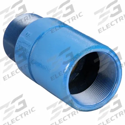 Dayton Spring Check Valve: Inline Valve Body, 3 in Pipe Size, MNPT x FNPT, Ductile Iron - Ductile Iron Poppet Check Valves
