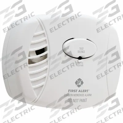 FIRST ALERT Carbon Monoxide Alarm: Removable Battery, CO Detector - Carbon Monoxide Detectors