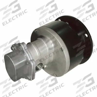 PULSAFEEDER Rotary Gear Pump Head: Magnetic Drive, 316 Stainless Steel, 3/4" FNPT, PTFE - Mag-Drive Gear Pump Heads