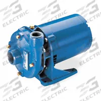Centrifugal Pump: 1 hp, 208-230/460V AC, 108 ft Max Head, 1 1/4 in , 1 in Intake and Disch (MPN 1BF11034). Key specifications — Brand: GOULDS WATER TECHNOLOGY; Motor Enclosure Type: ODP.