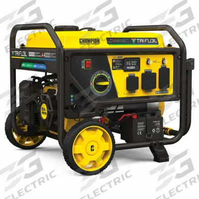 CHAMPION POWER EQUIPMENT Portable Generator: Conventional, Gasoline/Natural Gas/Propane - Conventional Generators