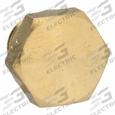 LEGRIS Plug: Hex Drive Cored Plug, 1/8 in, BSPP Threaded, C36000 Brass, Nylon - Low-Pressure Threaded Pipe Fittings