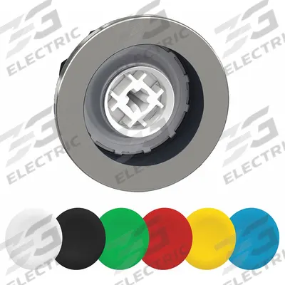 SCHNEIDER Push Button Head: 30 mm Panel Size, Non-Illuminated - Heads for Push Buttons