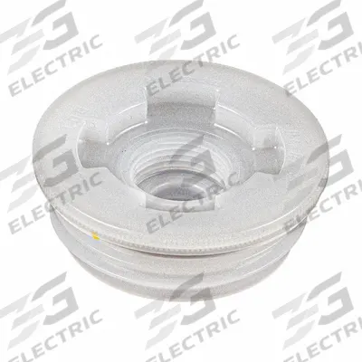 APPROVED VENDOR Drum Plug: Buttress, Non-Locking, Polyethylene, EPDM Gasket, 2 in Outside Dia - Plastic Drum Bungs