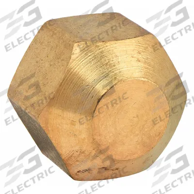 APPROVED VENDOR Cap: Hex Drive Cap, 1/8 in, NPT Threaded, 1,200 psi, 1/2 in Lg - Threaded High-Pressure Pipe Fittings