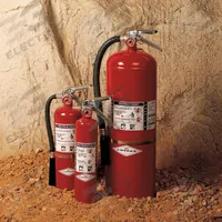 AMEREX Fire Extinguisher: 2.5 lb Extinguisher Capacity, 10B:C, Potassium Bicarbonate (MPN B410T). Key specifications — Brand: AMEREX.