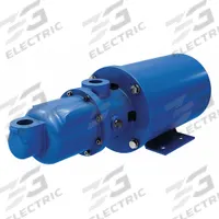 MOYNO Motorized Progressive Cavity Pump: Water, Direct Drive AC Motor, Cast Iron, Buna-N, Wobble, SS (MPN 33259). Key specifications — Brand: MOYNO.