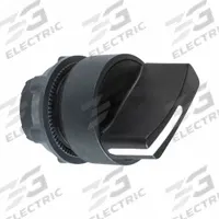 SCHNEIDER ELECTRIC Short-Handled Selector Switch: 22 mm Panel Mount Size, 2 Positions, Series XB5 (MPN ZB5AD4). Key specifications — Action: Maintained/Momentary; Cam: No Cam Included; Brand: SCHNEIDER; Switch Bezel Material Type: Non-Metallic.